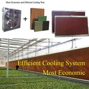 tl_files/Upload-here/SAN PHAM/he-thong-lam-mat/thiet-bi-he-thong-lam-mat-ap-suat-am.jpg